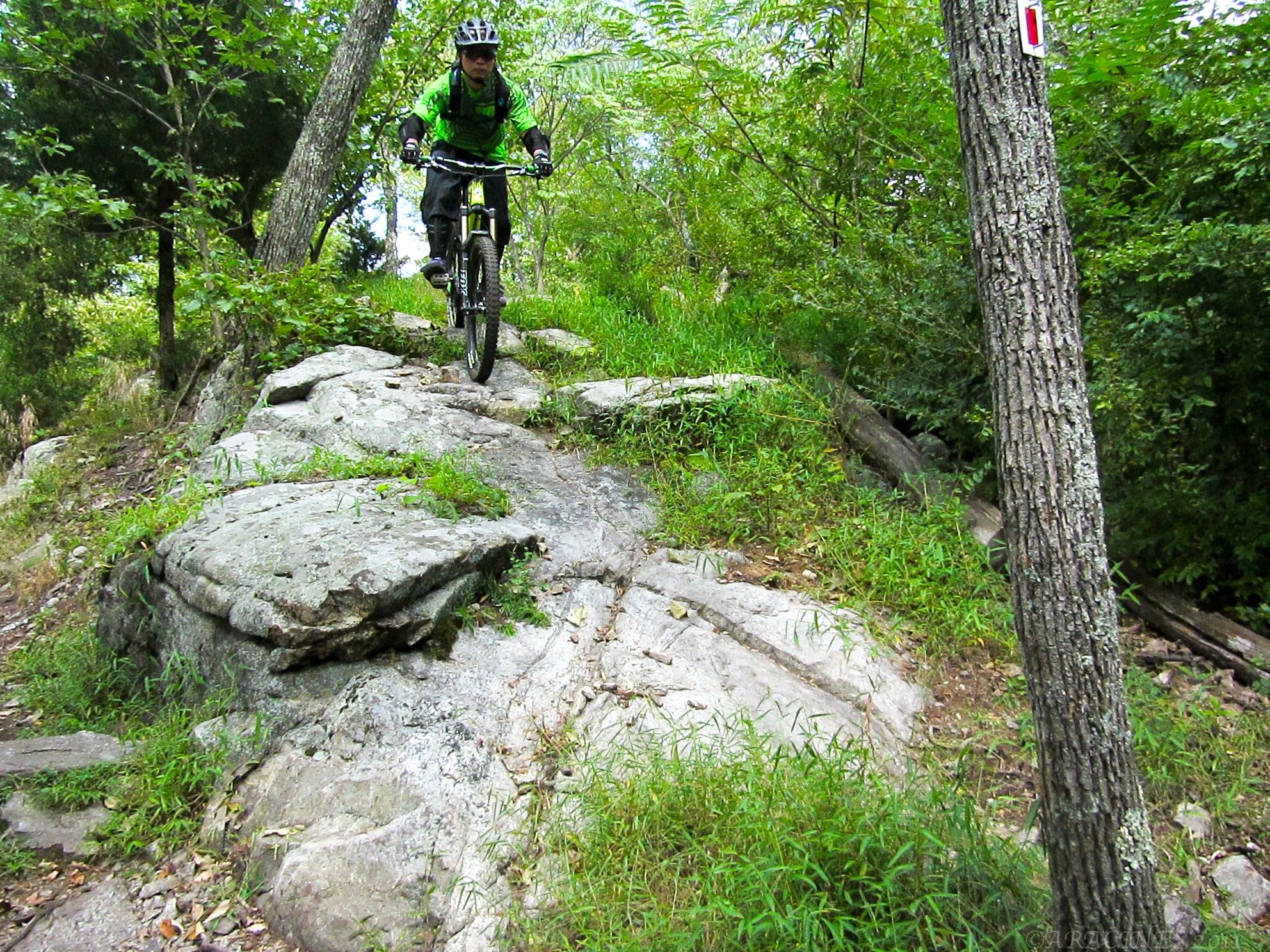 A mountain biker descends a rocky, green trail under natural light. - Ringwood Crossover and Mountain Bike Loop