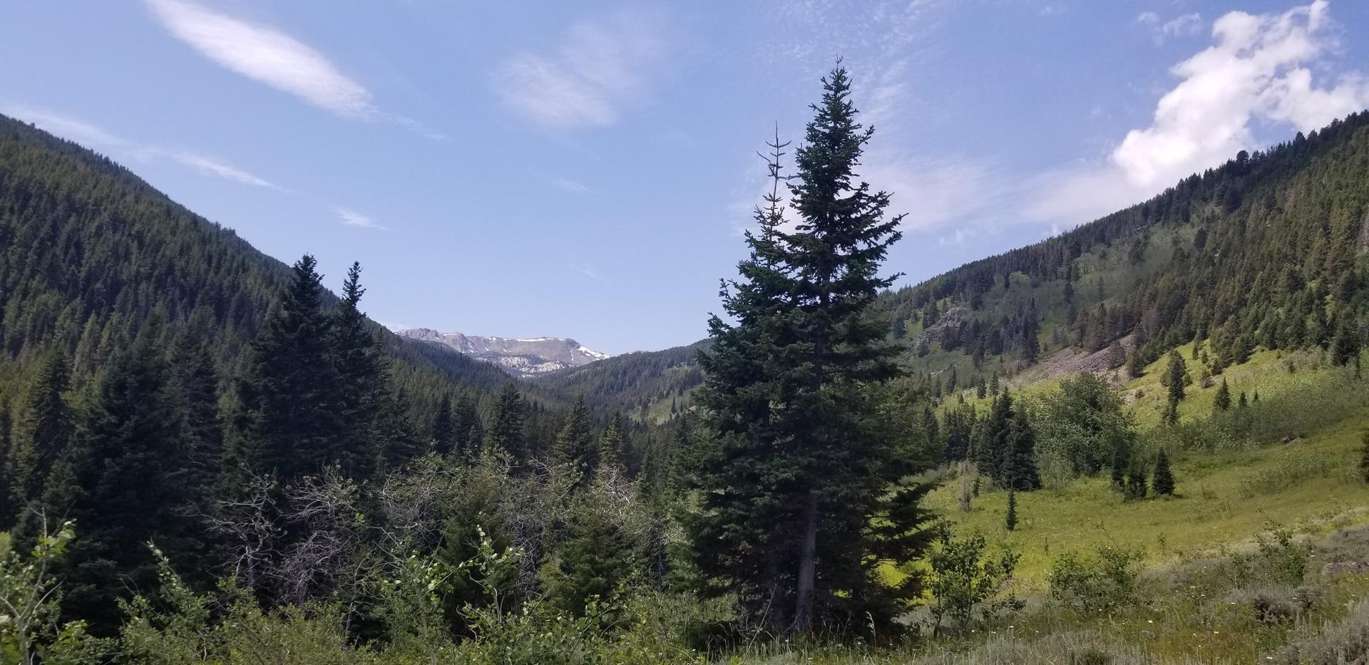A lush green valley with steep forested slopes under a bright blue sky.
