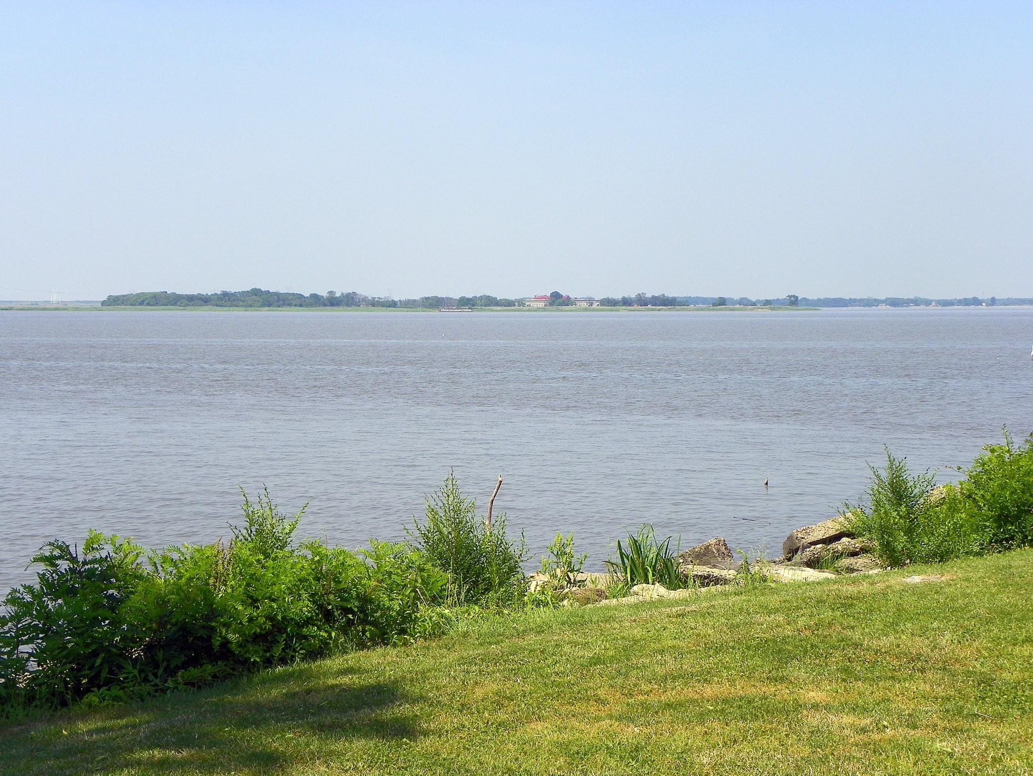 Calm water with a grassy bank and distant land under a clear sky.