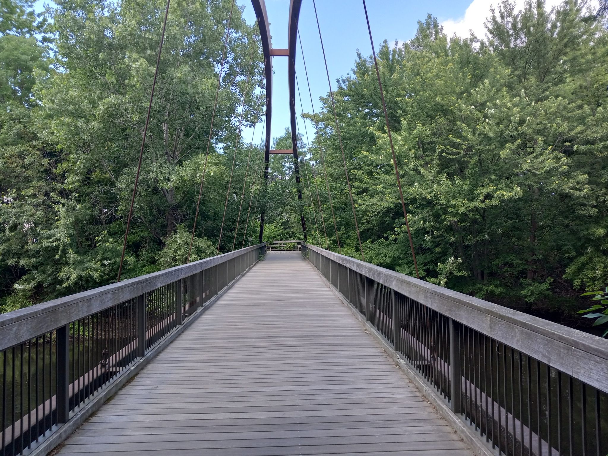 A wooden suspension bridge extends through lush green trees on a bright day. - Charles River Greenway – Dr. Paul Dudley White Path loop from Porter