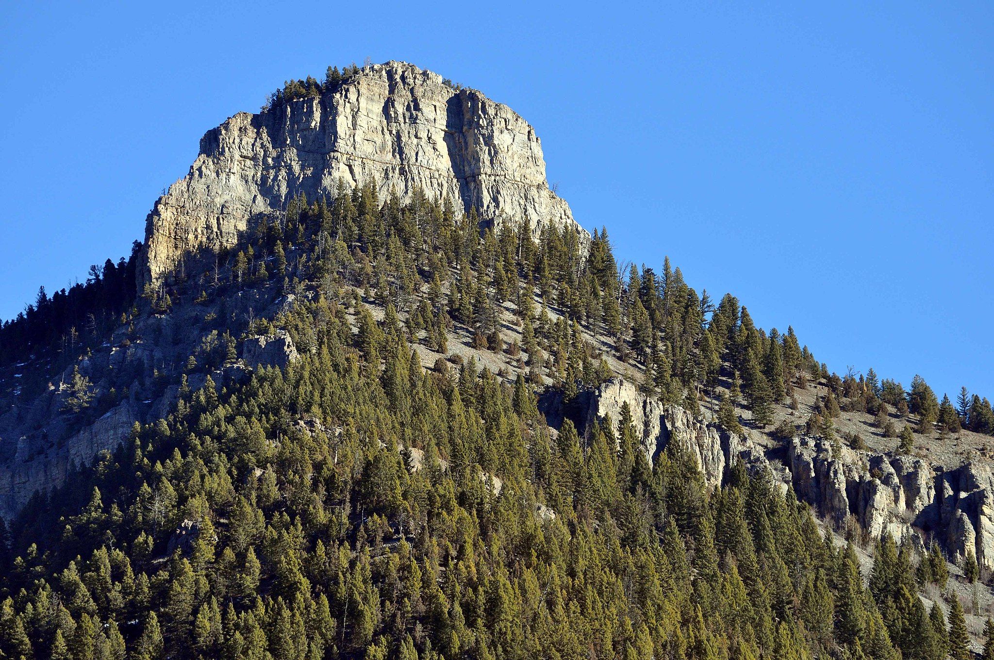 Rocky mountain peak covered in evergreen trees under a bright blue sky. - Storm Castle Trail