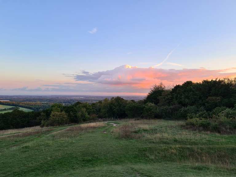 Stansted House, Kingley Vale and Queen Elizabeth Country Park loop ...