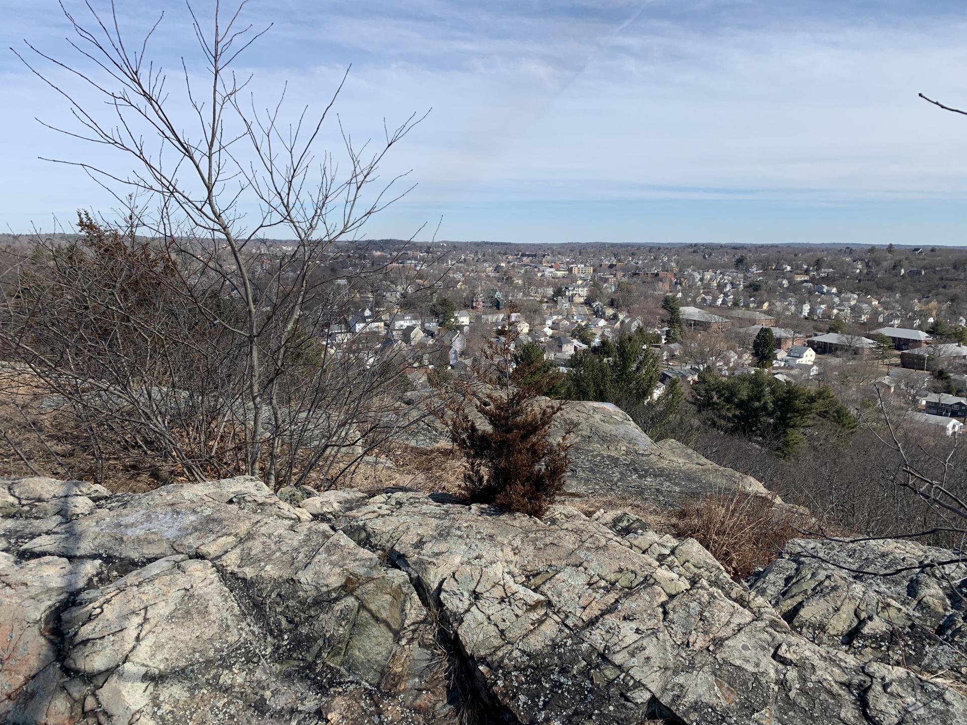 Rocky outcrop with bare trees overlooks a sprawling town under a bright sky.