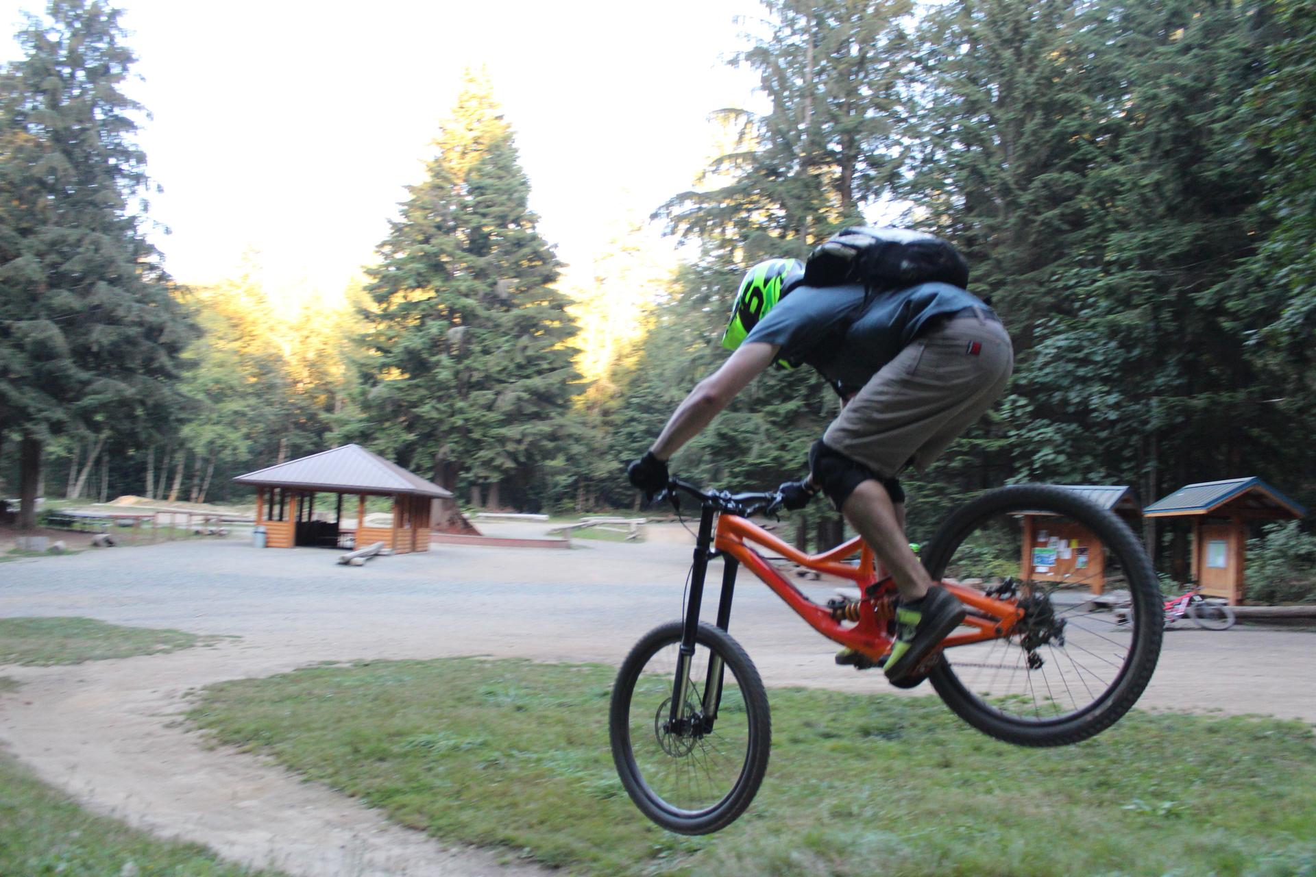 A mountain biker jumps mid-air on a dirt track in sunny woods.