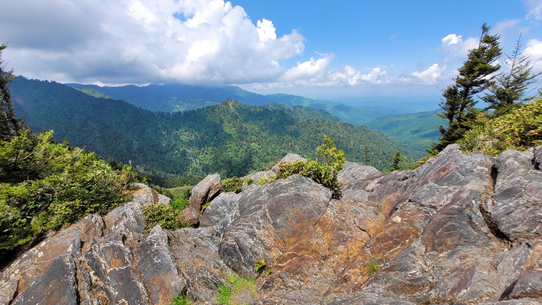 Rocky outcrop overlooking a vast, forested mountain landscape under a cloudy sky.