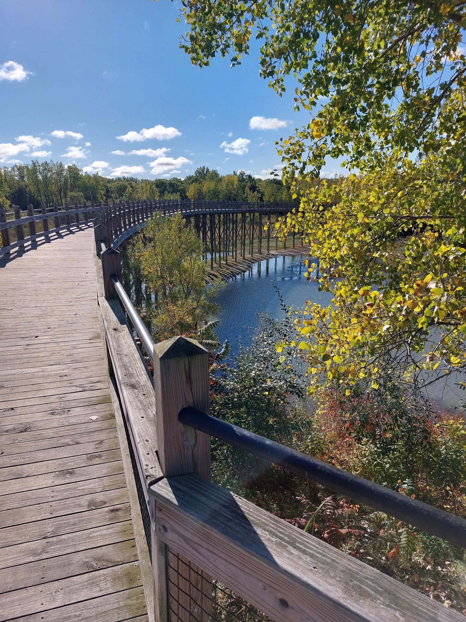 A long wooden boardwalk curves over water under a sunny sky.
