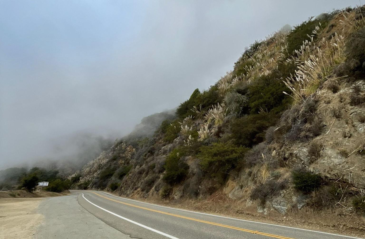 Winding road beside a steep, foggy hillside with tall grasses under an overcast sky.