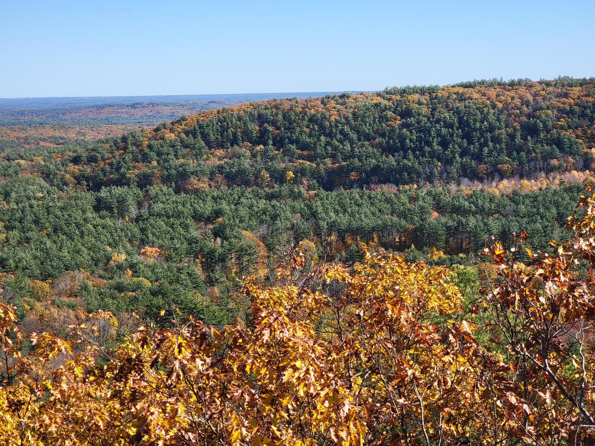 Panoramic view of rolling hills covered in vibrant autumn and green forest.