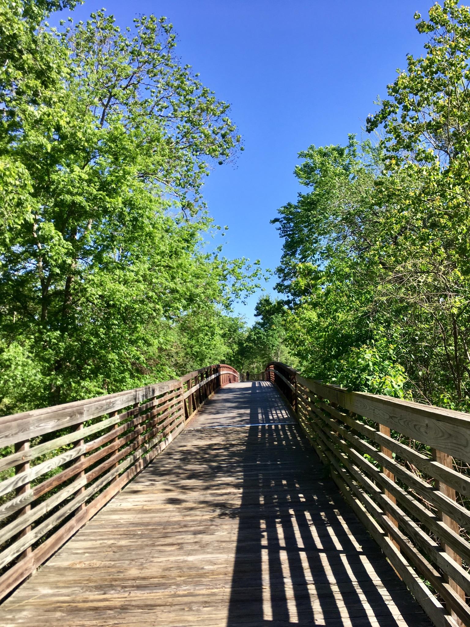 A long wooden boardwalk bridge through bright green trees under a blue sky.