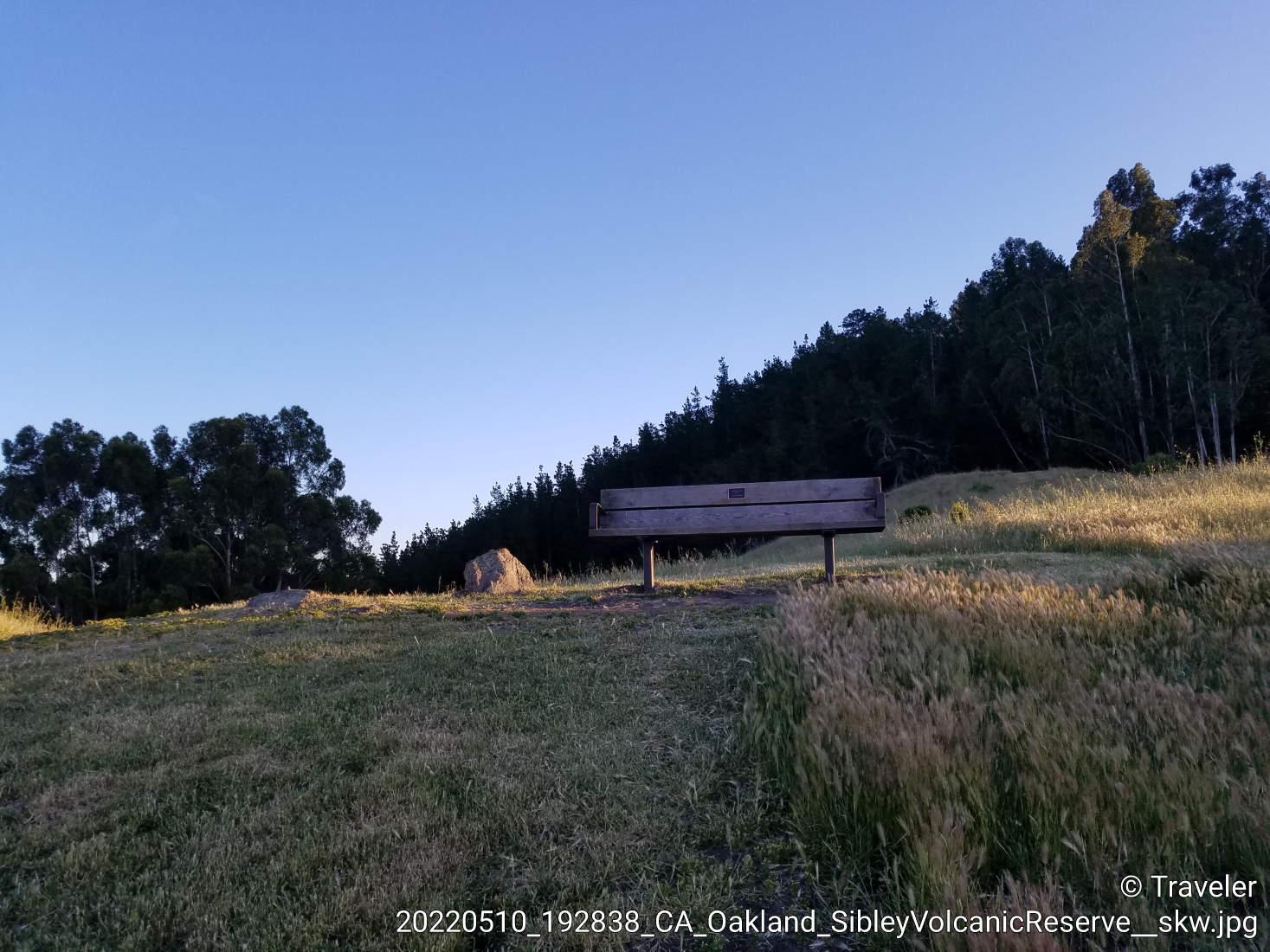 A wooden bench sits on a grassy hill with a forest behind it.