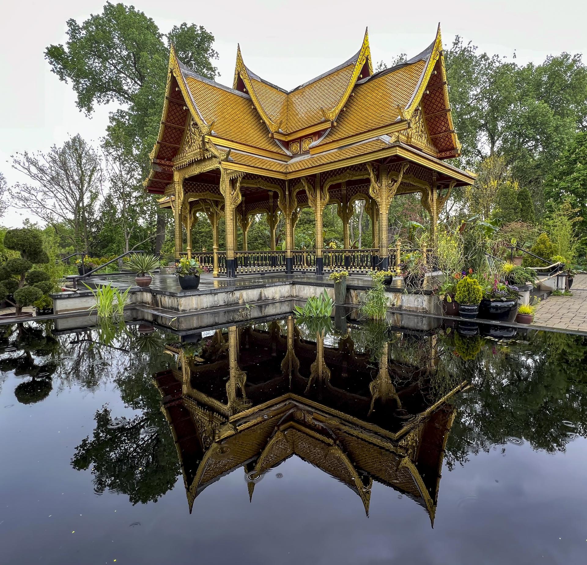 Ornate golden pavilion reflected perfectly in still water, surrounded by greenery.