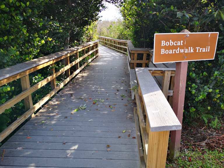 Bobcat Boardwalk and Otter Cave Hammock Trail Everglades National