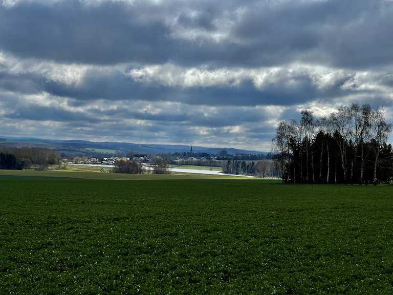 Schöner Blick Richtung Berthelsdorfer Teich Wanderungen und Rundwege