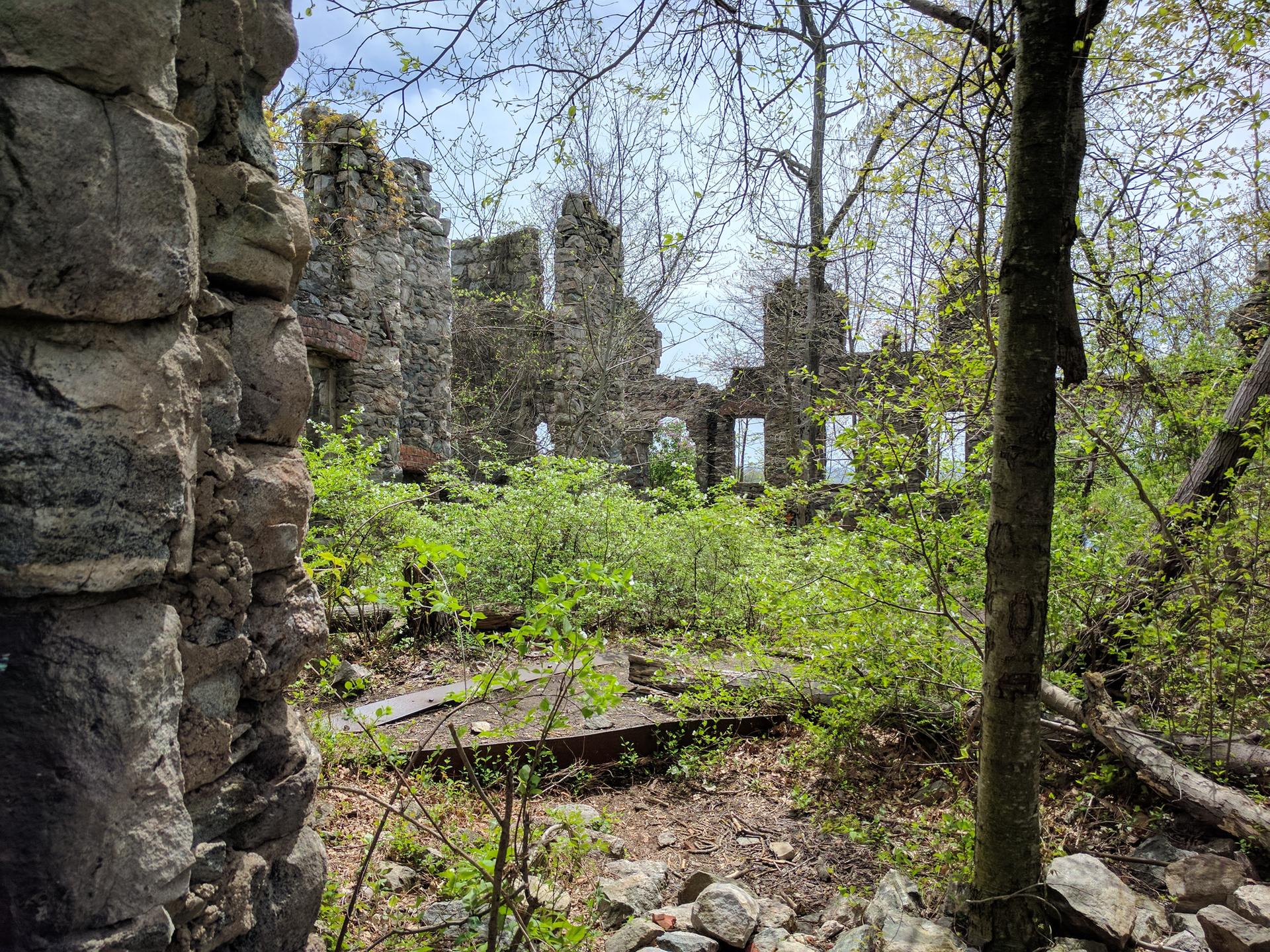 Stone ruins overgrown with green bushes and trees under a bright sky.