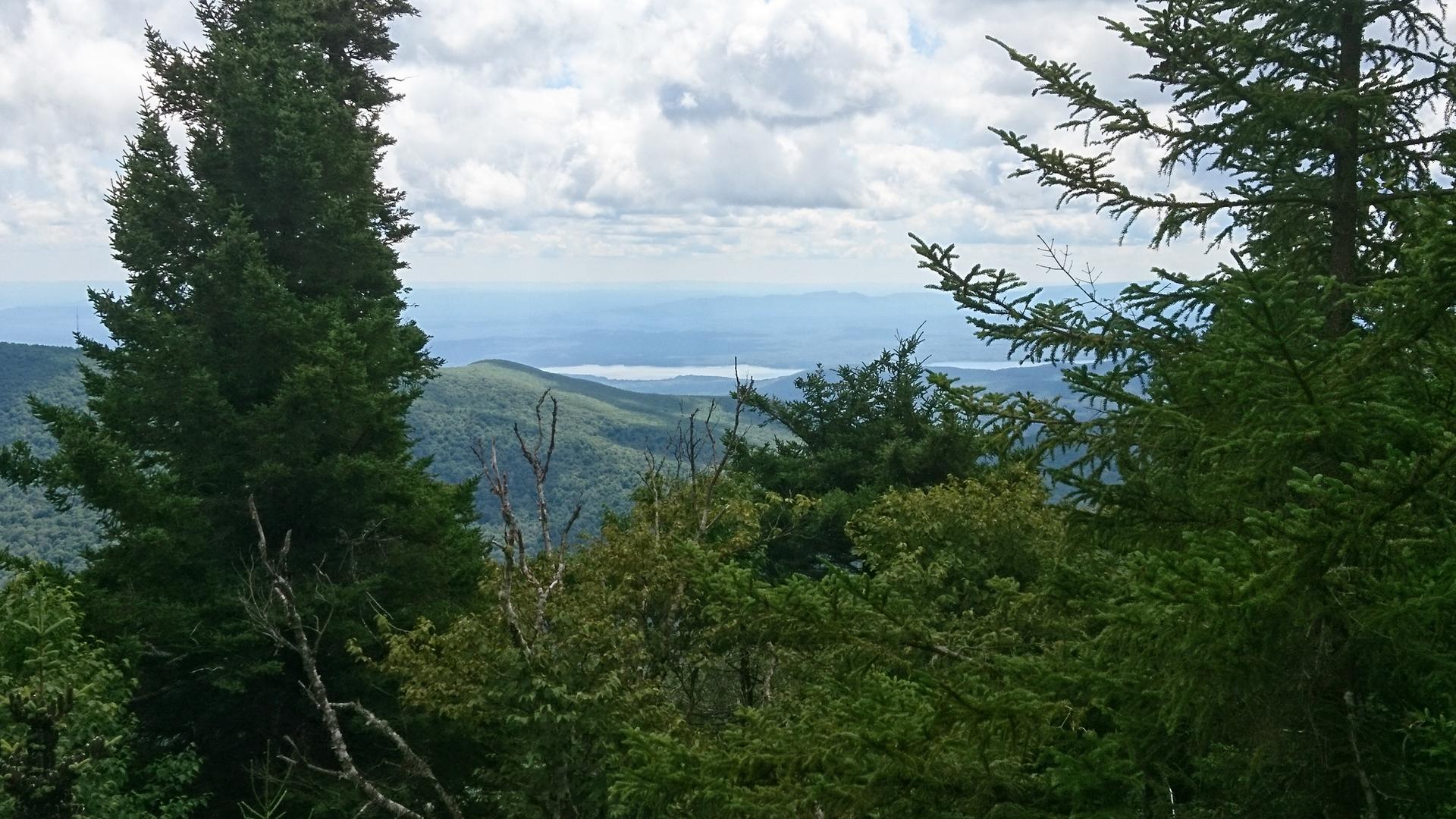 View through dense evergreen trees of distant mountains and a lake.