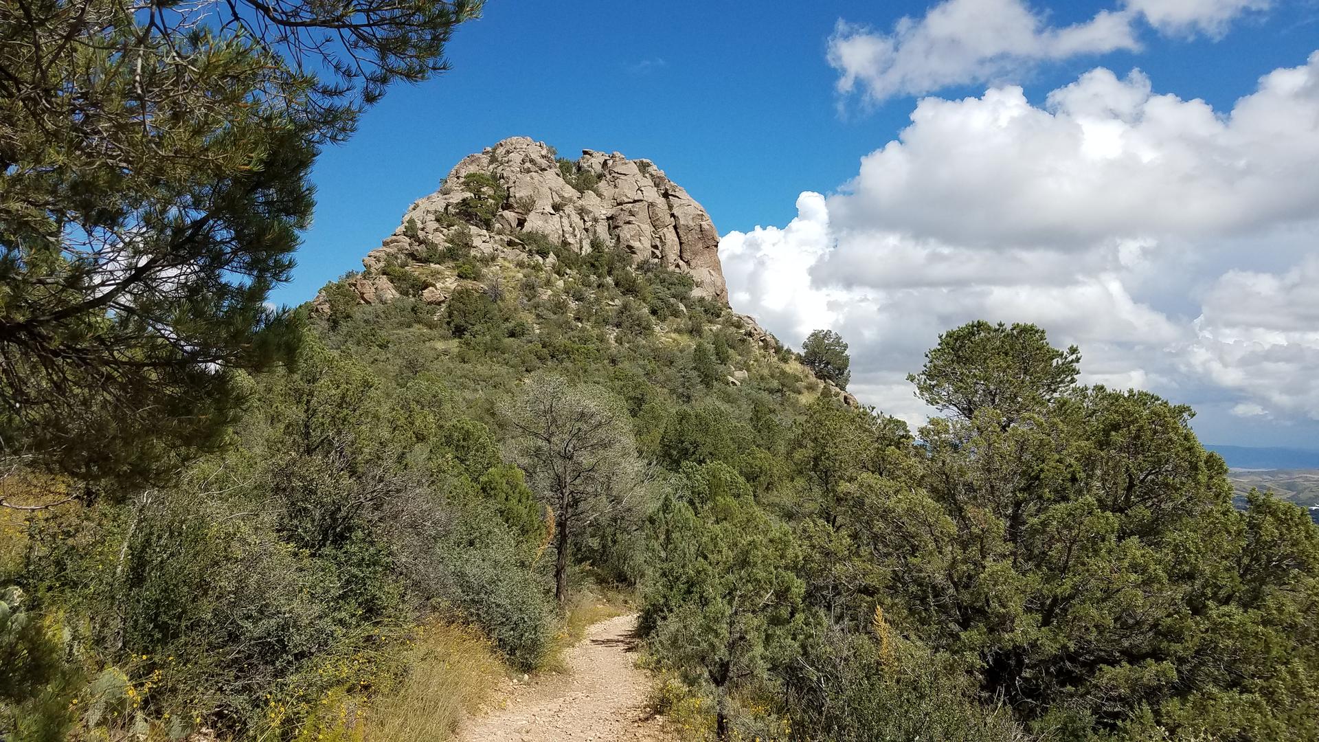 Rocky peak covered in green trees, with a dirt path under a blue sky.