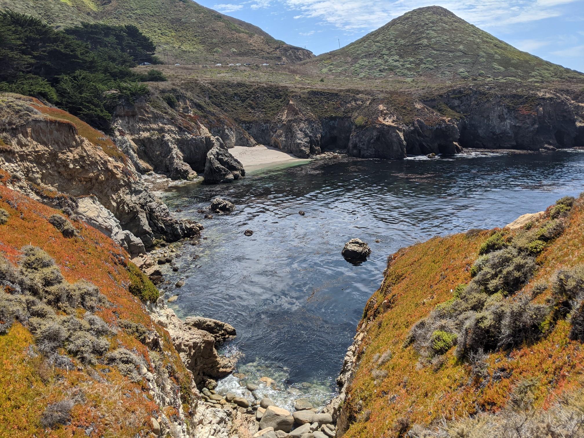 Rocky cove with a small sandy beach, surrounded by colorful coastal vegetation.