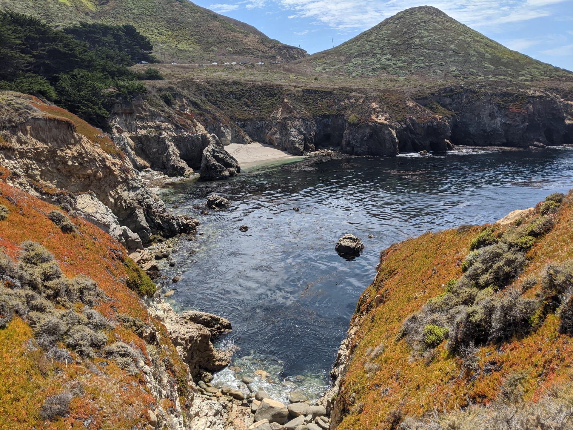 Rocky cove with a small sandy beach, surrounded by colorful coastal vegetation.
