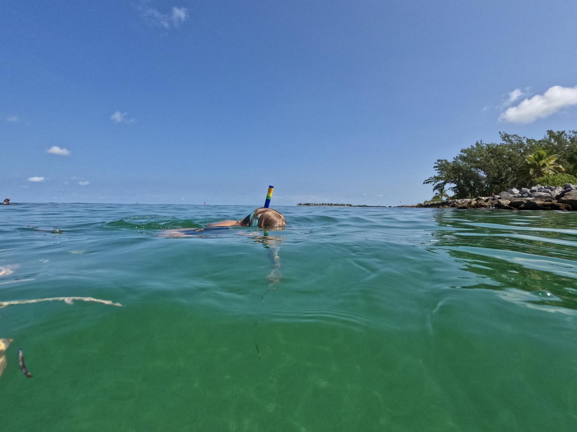 Person snorkeling in clear green water near a treed island under blue sky.