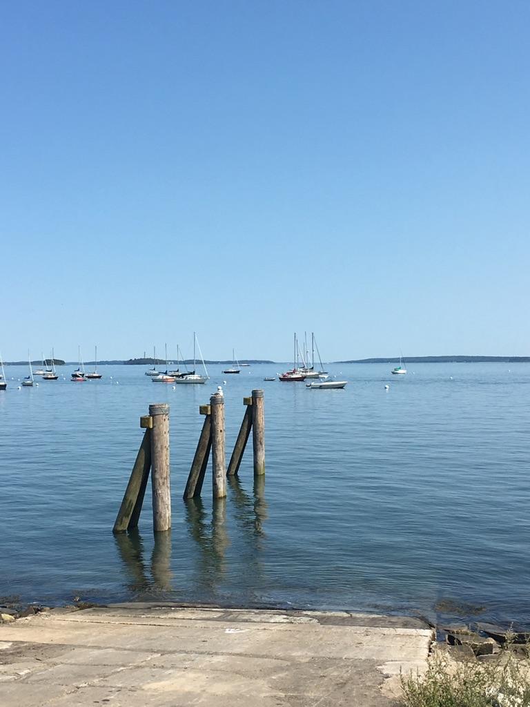 Wooden pilings in calm blue water with many sailboats under a clear sky.