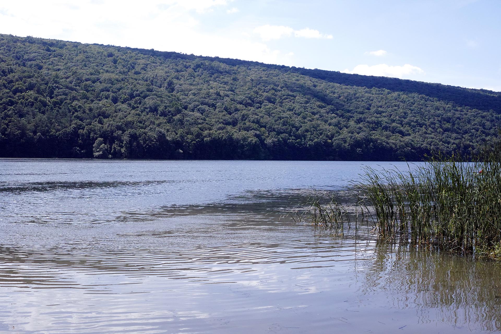 Wide body of water with a lush green forested hill under a bright sky.