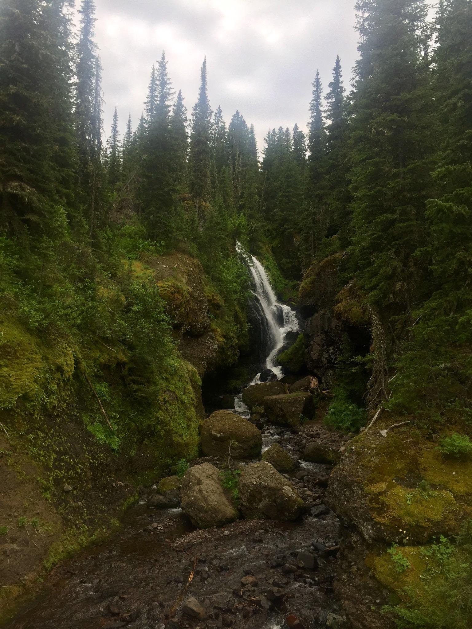 Overcast view of a tall waterfall cascading through a mossy, forested canyon.