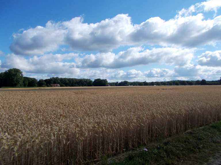 Telgter Gartenbau Rastplatz - Cycle Routes and Map | Komoot