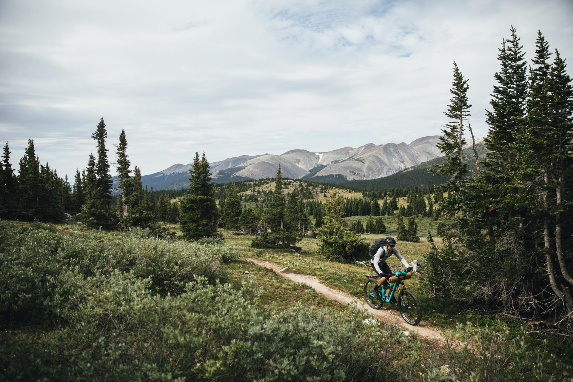 Cyclist on a dirt path through green shrubs with mountains in the distance.