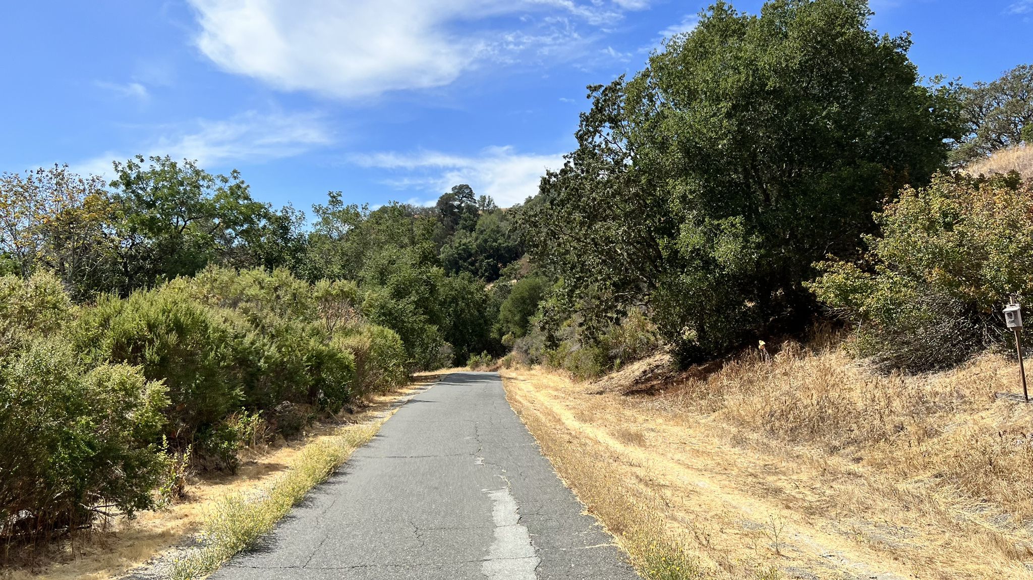 Paved path winding through green trees and dry grass under a bright sky. - Lamorinda Trail & Carquinez Scenic Drive loop