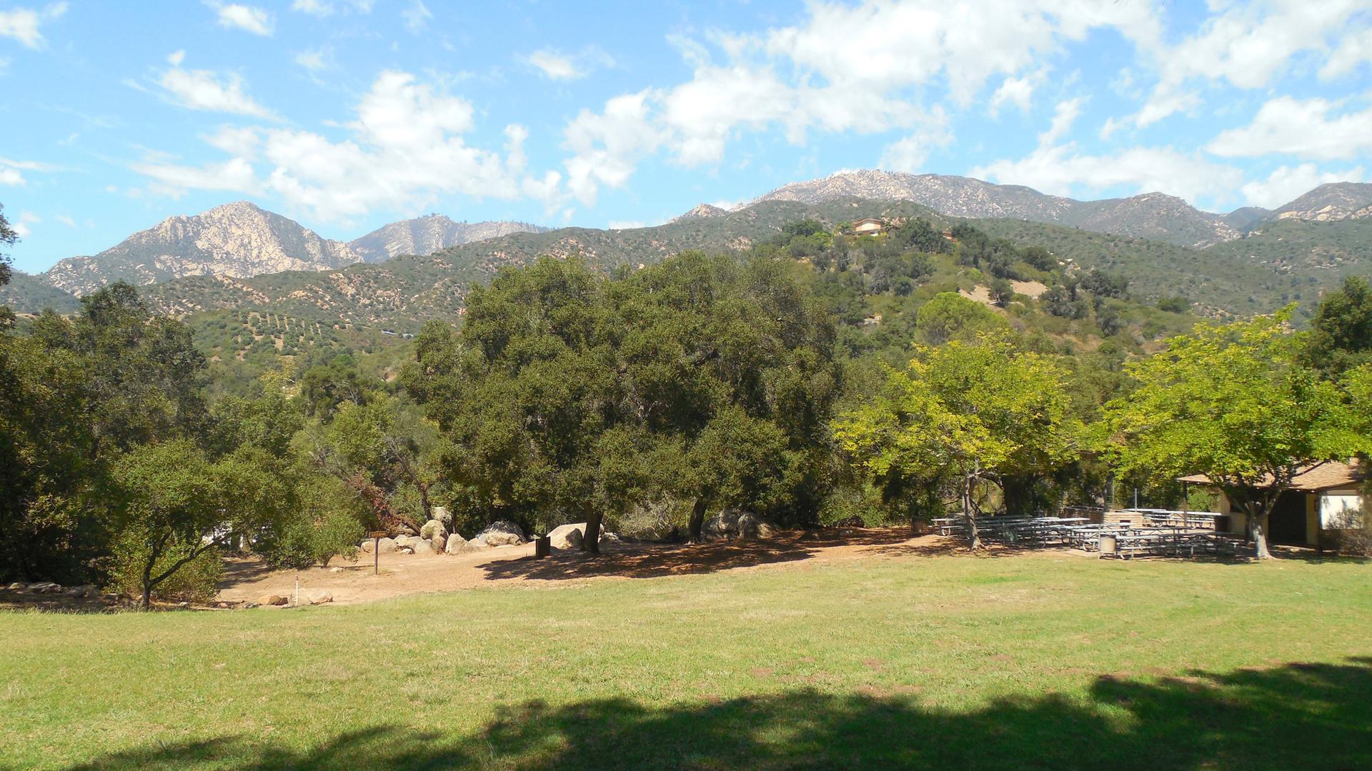 A sunny grassy field with large trees and rocky mountains in the background.