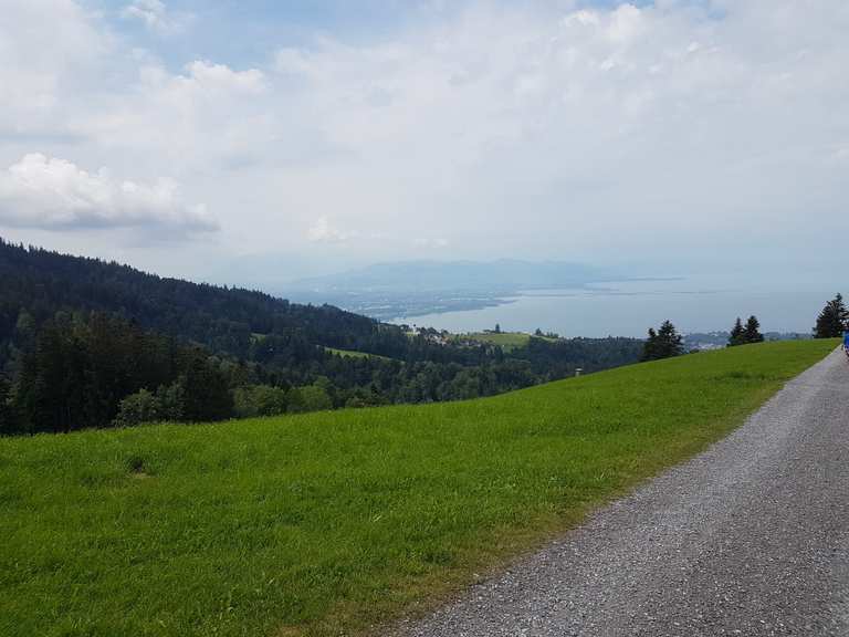 Super Aussicht auf Bodensee / Lindau / Gebirge Wanderungen und