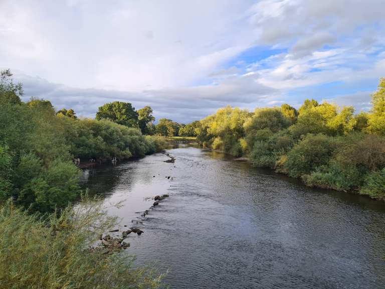 Rickerby Park Routes for Walking and Hiking | Komoot