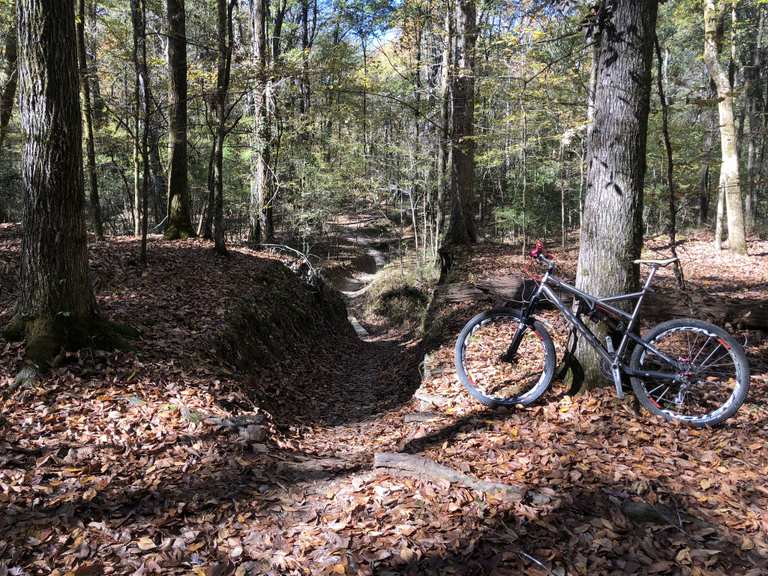 Shelby farms mountain bike trails hot sale