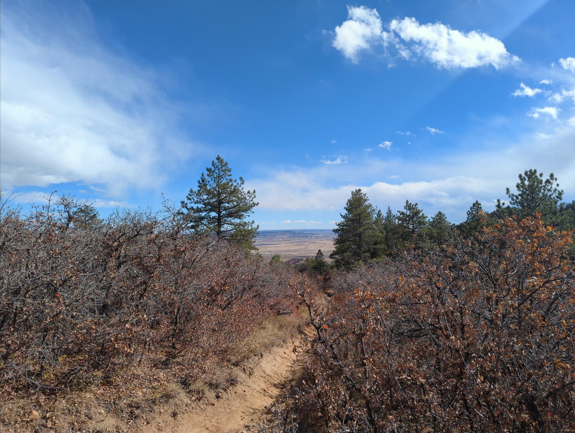 A dirt trail descends through dry brush and pine trees under a partly cloudy sky.