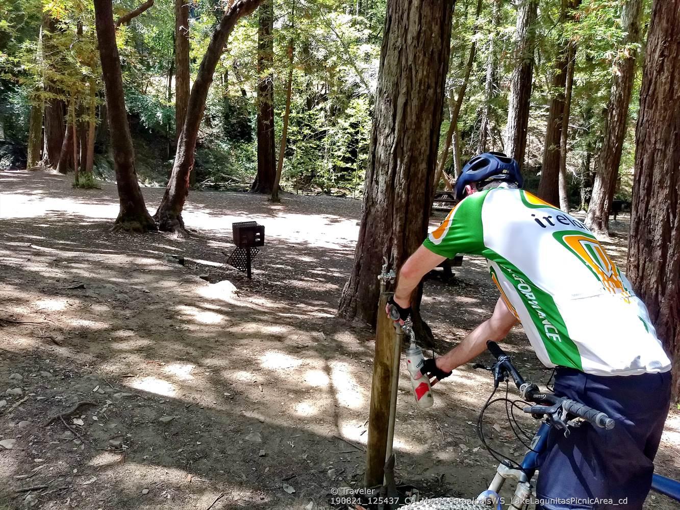Man on a mountain bike in a sun-dappled forest, adjusting something.