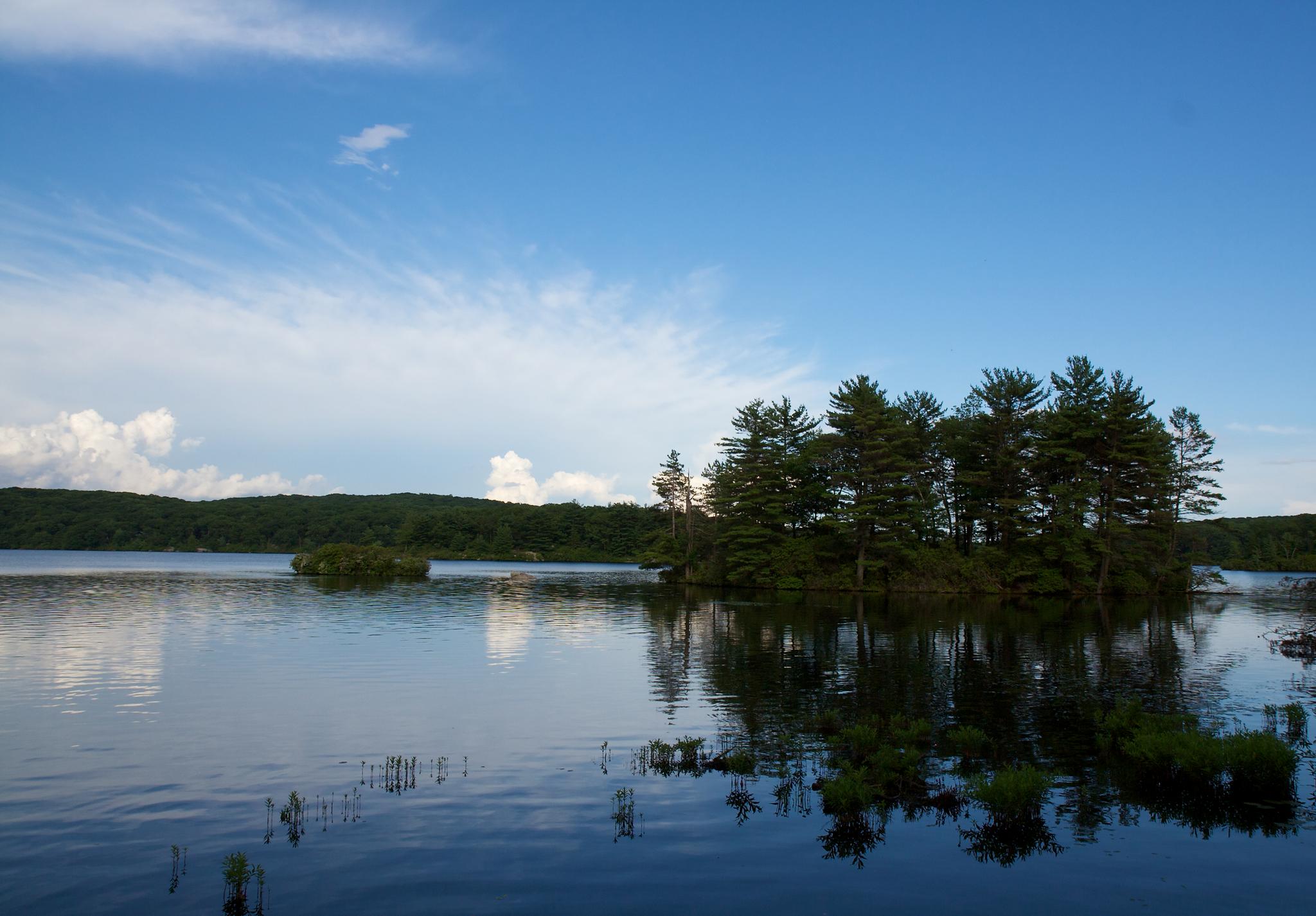 Sunny day over a wide lake with a small island of pine trees.