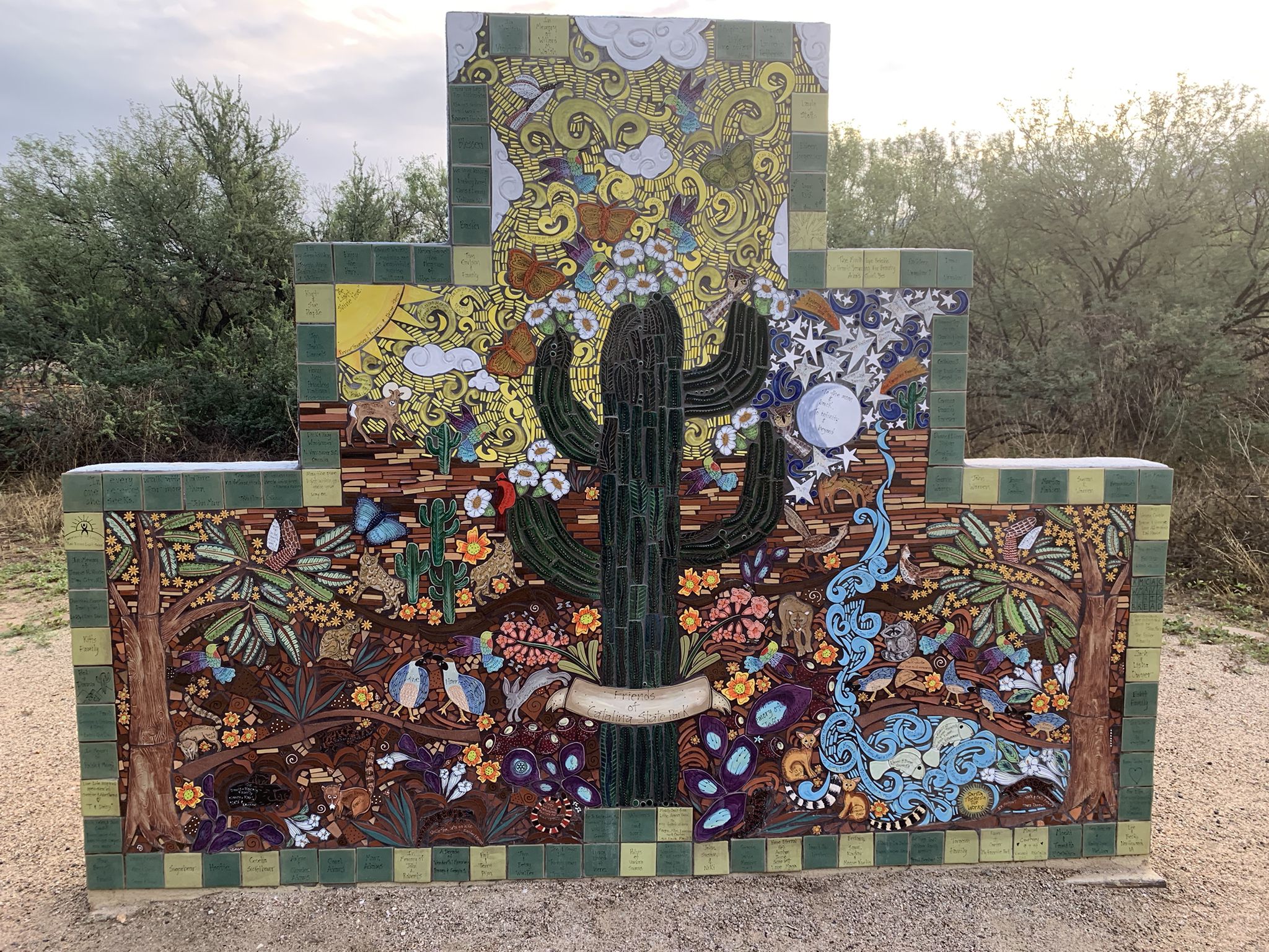 Colorful tiled mural depicting a saguaro cactus, desert plants, and animals. - Catalina State Park Trailhead – Cañada del Oro River Trail loop from Vistoso