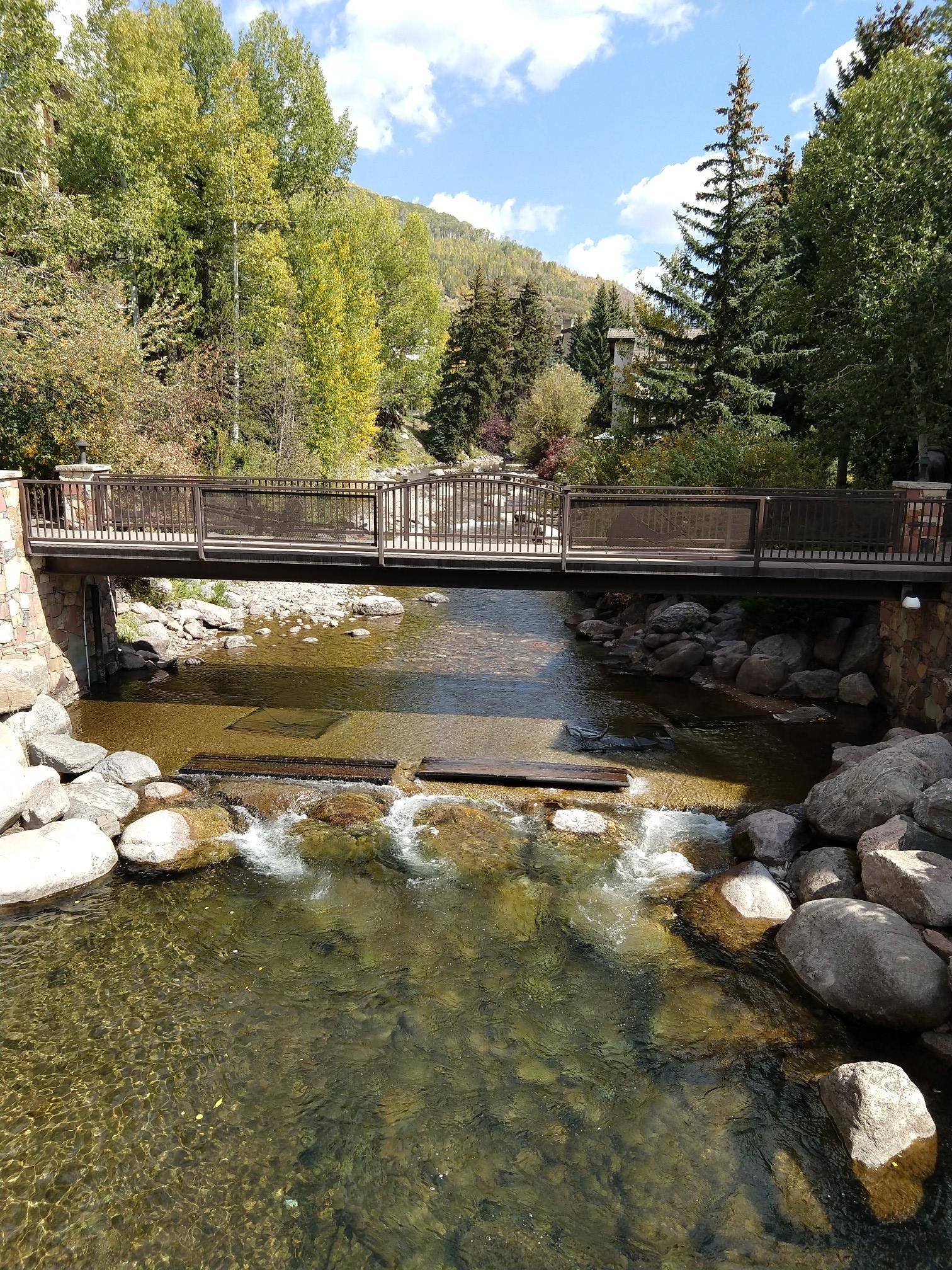 Pedestrian bridge over a clear river with lush autumn trees and blue sky.