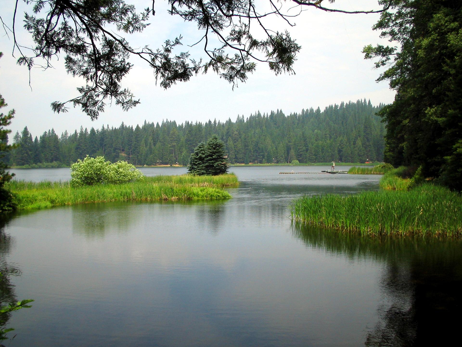 Calm lake with small islands of grass and trees under a cloudy sky.