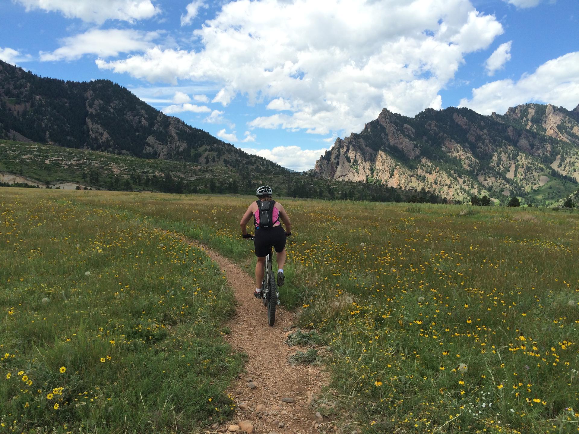 Mountain biker on a dirt trail through a wildflower field, mountains in background.