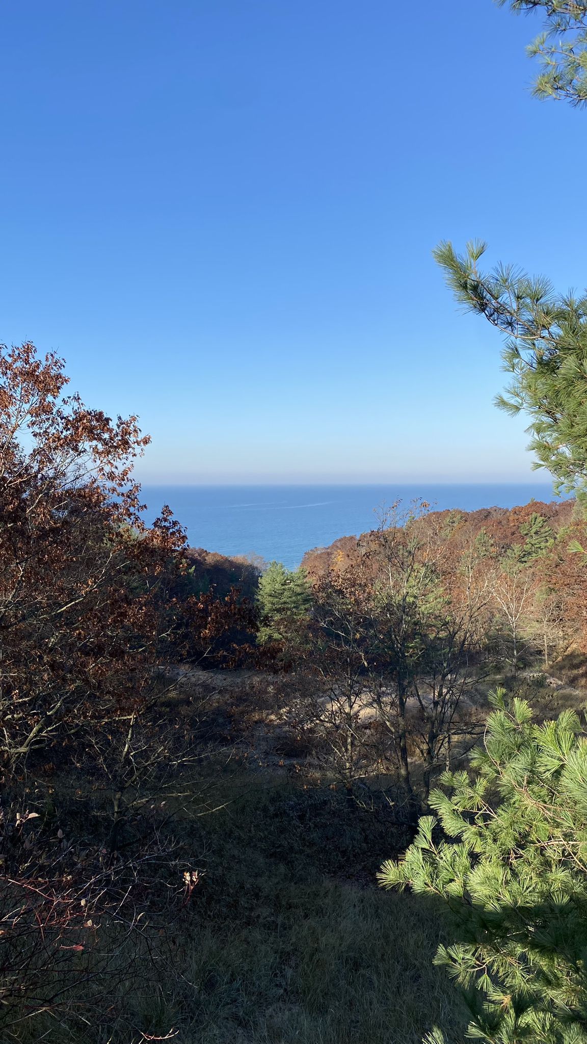 Overlook of a blue body of water through autumn trees under a clear sky. - Homestead Trail loop