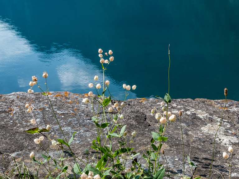 Lago di poschiavo routes for walking and hiking komoot