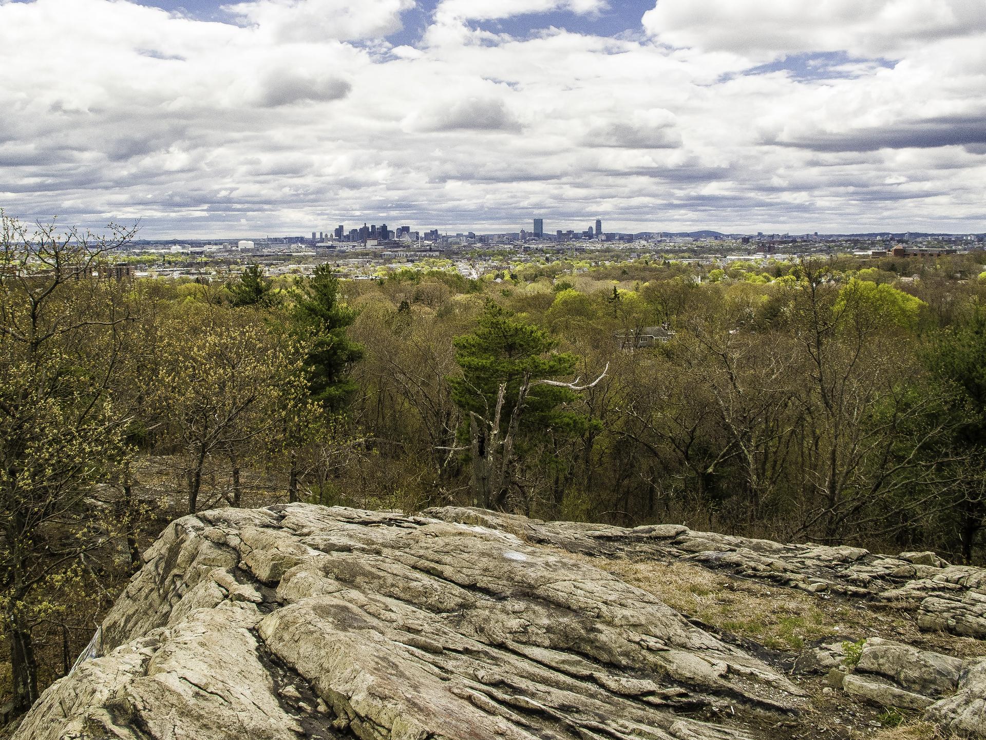 Rocky outcrop overlooking a vast green forest and distant city skyline under cloudy sky.