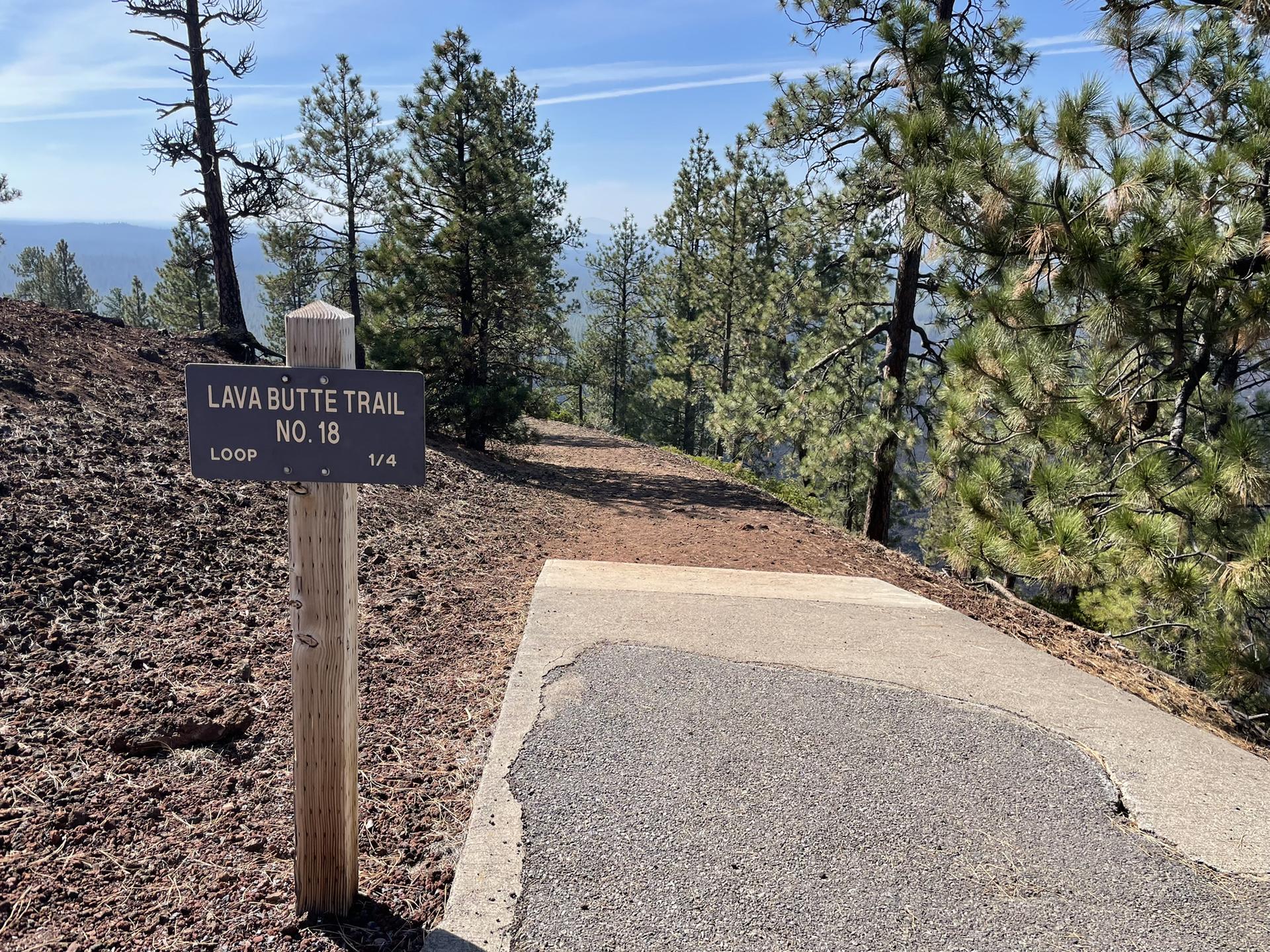 A trail sign beside a paved path leading into a pine forest on a sunny day.