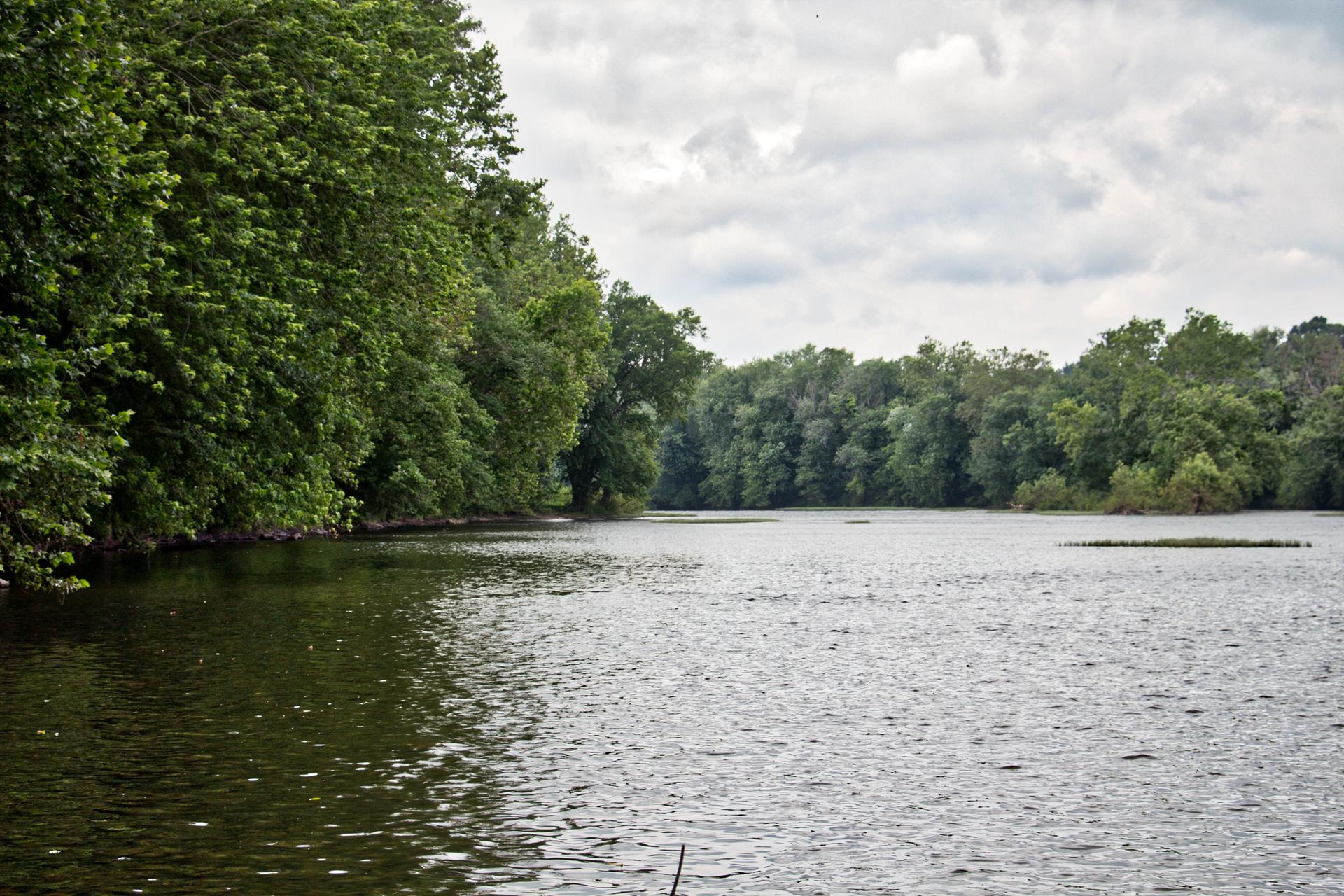 Wide river with dense green trees lining both banks under a cloudy sky.