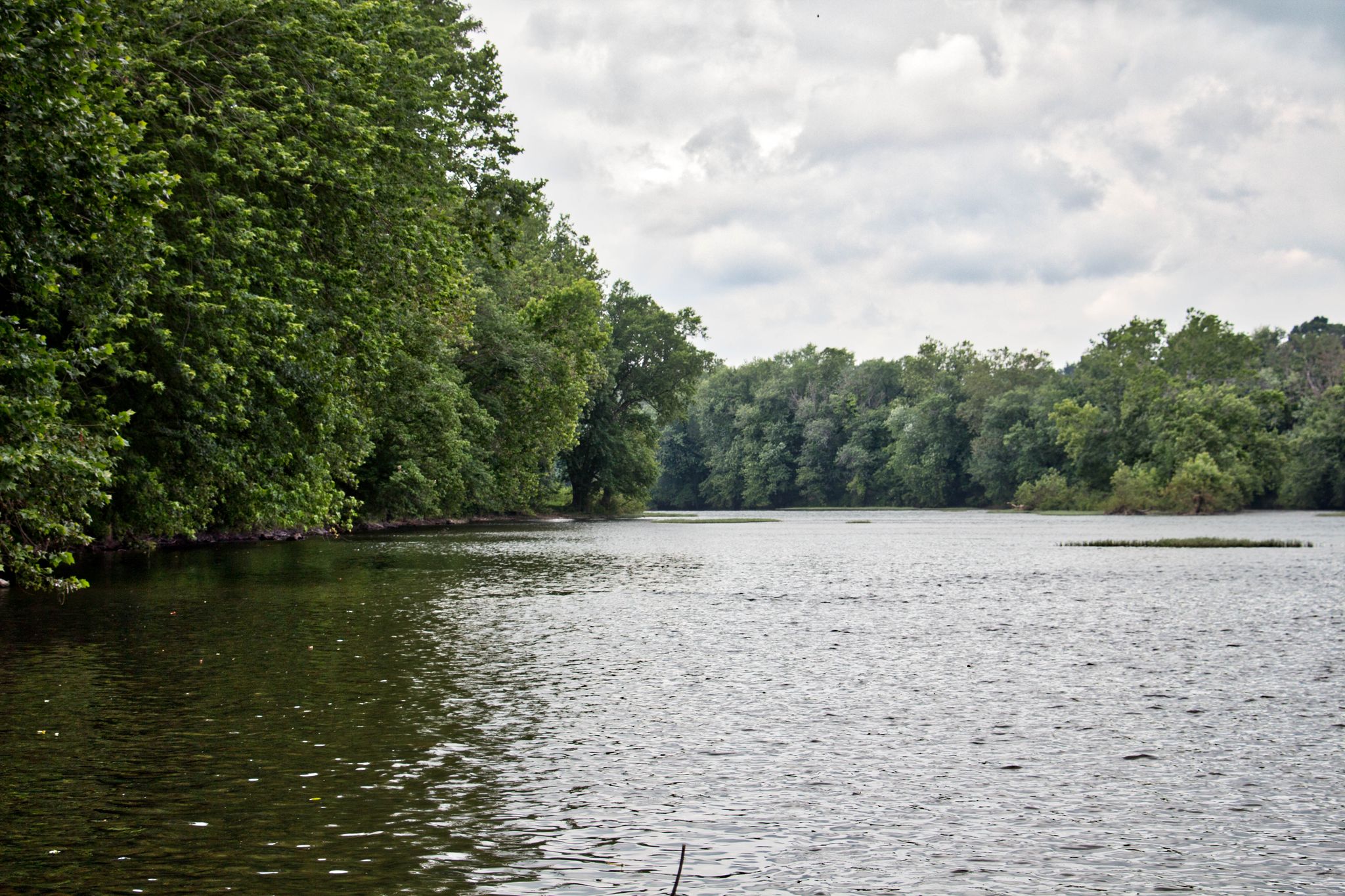 Wide river with dense green trees lining both banks under a cloudy sky. - Berryville