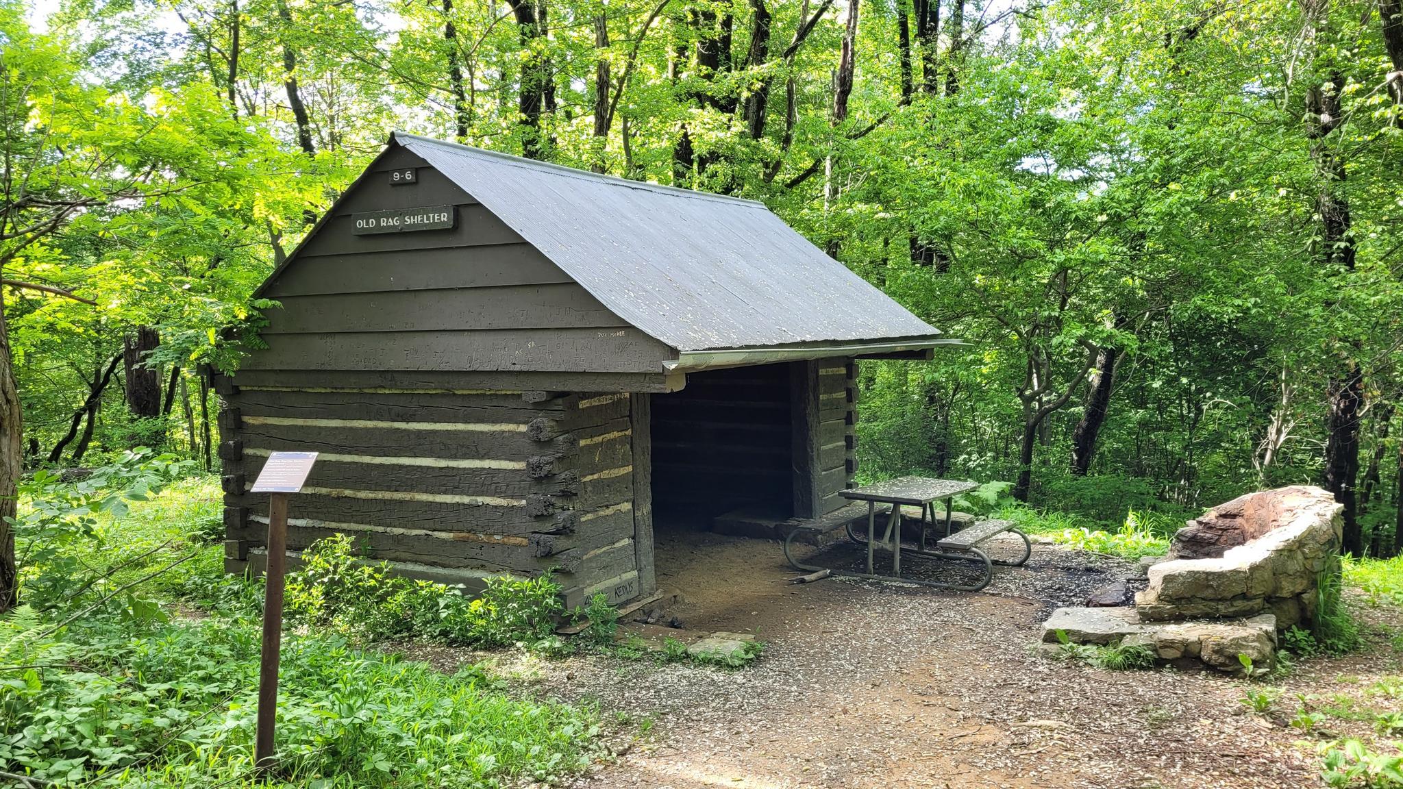 A rustic wooden shelter with a metal roof in a vibrant green forest.