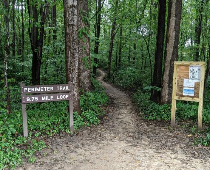 A dirt trail entrance in a dense green forest with two wooden signs.