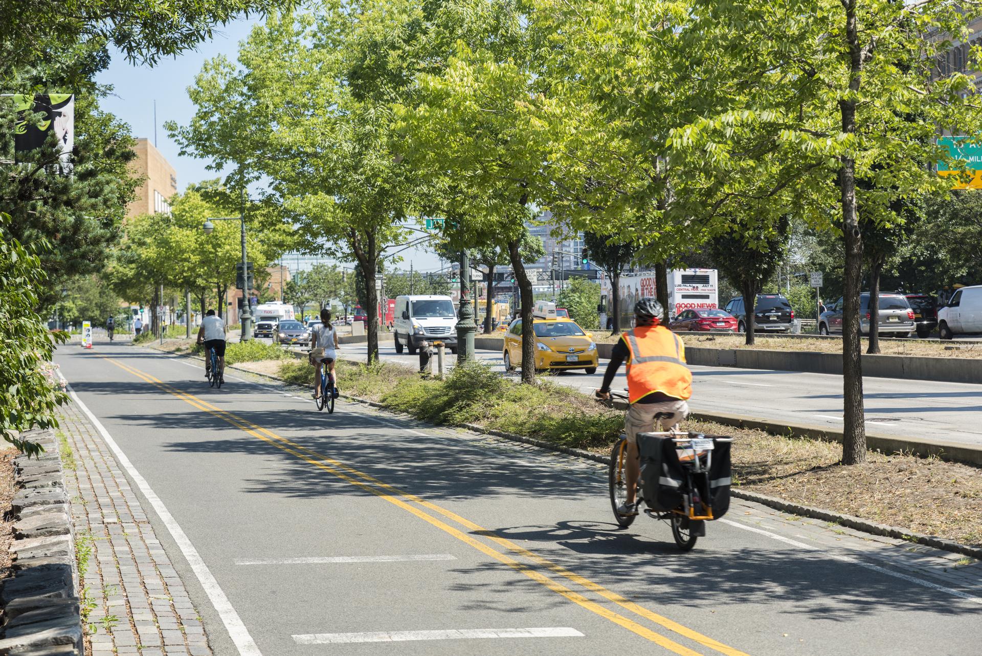 Cyclists on a sunny urban road lined with green trees and cars.