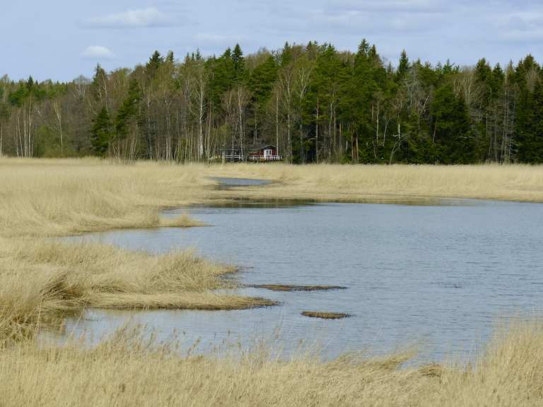Porvarinlahti routes for walking and hiking komoot